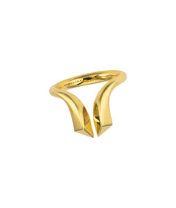 ring in yellow gold